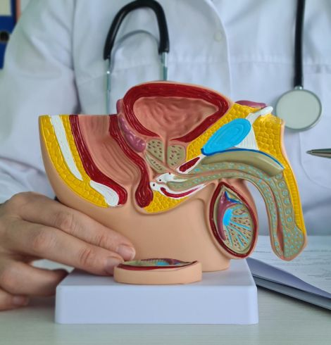 Collab – Online Learning Platform